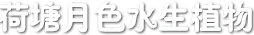 安新县荷塘月色水生植物种植有限公司
