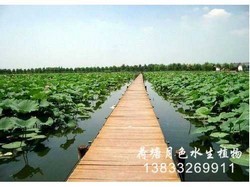 浙江公园工程