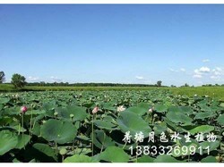 江苏工程