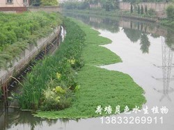 河道改造